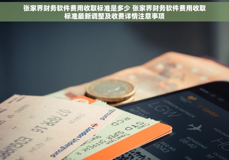张家界财务软件费用收取标准是多少 张家界财务软件费用收取标准最新调整及收费详情注意事项
