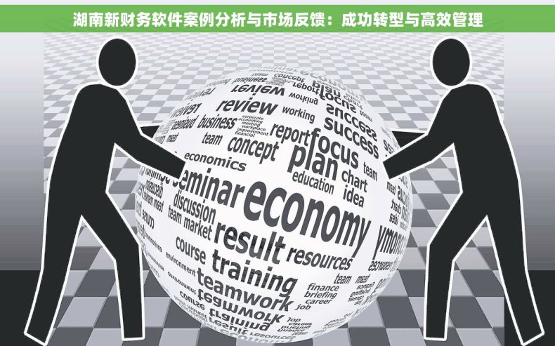 湖南新财务软件案例分析与市场反馈：成功转型与高效管理