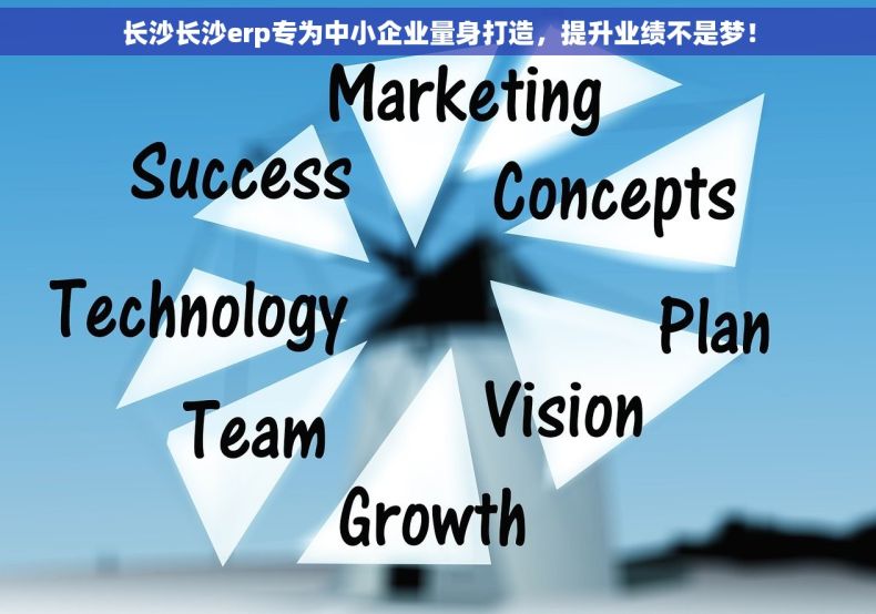 长沙长沙erp专为中小企业量身打造，提升业绩不是梦！