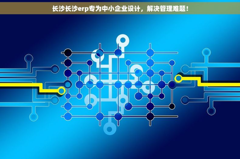 长沙长沙erp专为中小企业设计，解决管理难题！