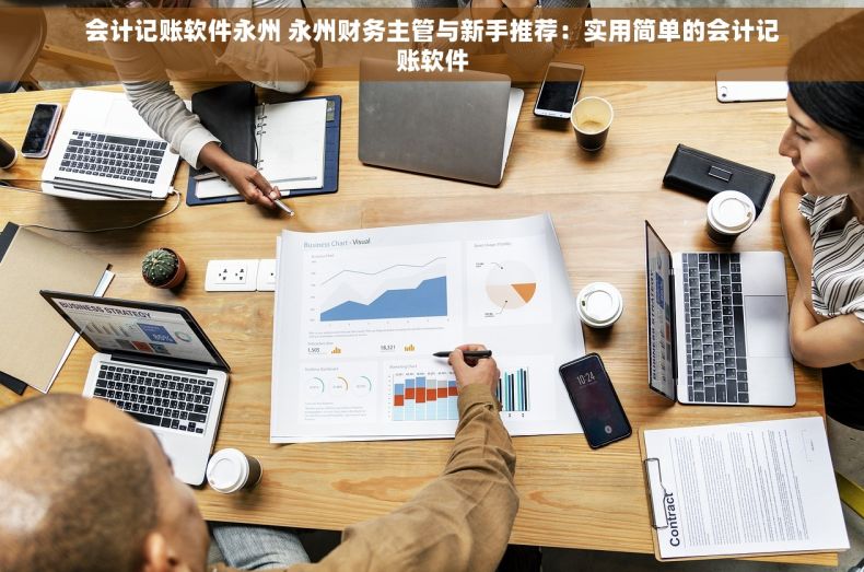 会计记账软件永州 永州财务主管与新手推荐：实用简单的会计记账软件