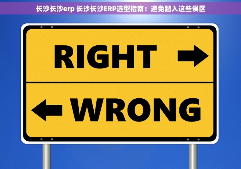 长沙长沙erp 长沙长沙ERP选型指南：避免踏入这些误区