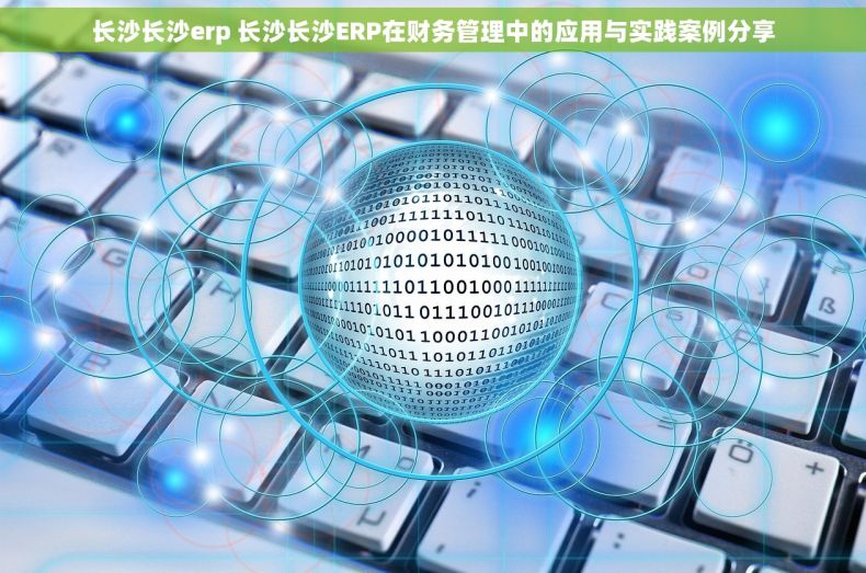 长沙长沙erp 长沙长沙ERP在财务管理中的应用与实践案例分享