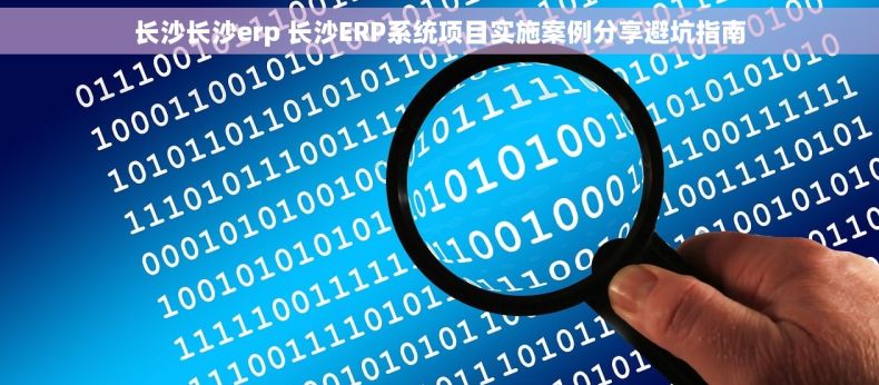 长沙长沙erp 长沙ERP系统项目实施案例分享避坑指南