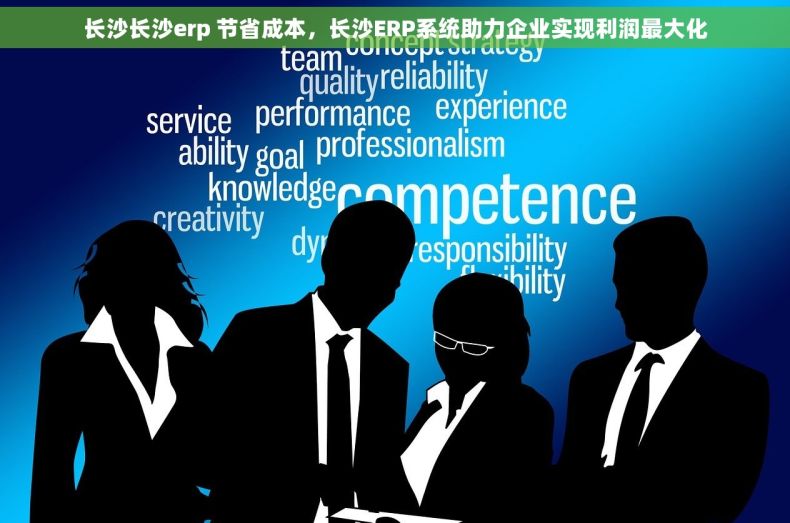 长沙长沙erp 节省成本，长沙ERP系统助力企业实现利润最大化