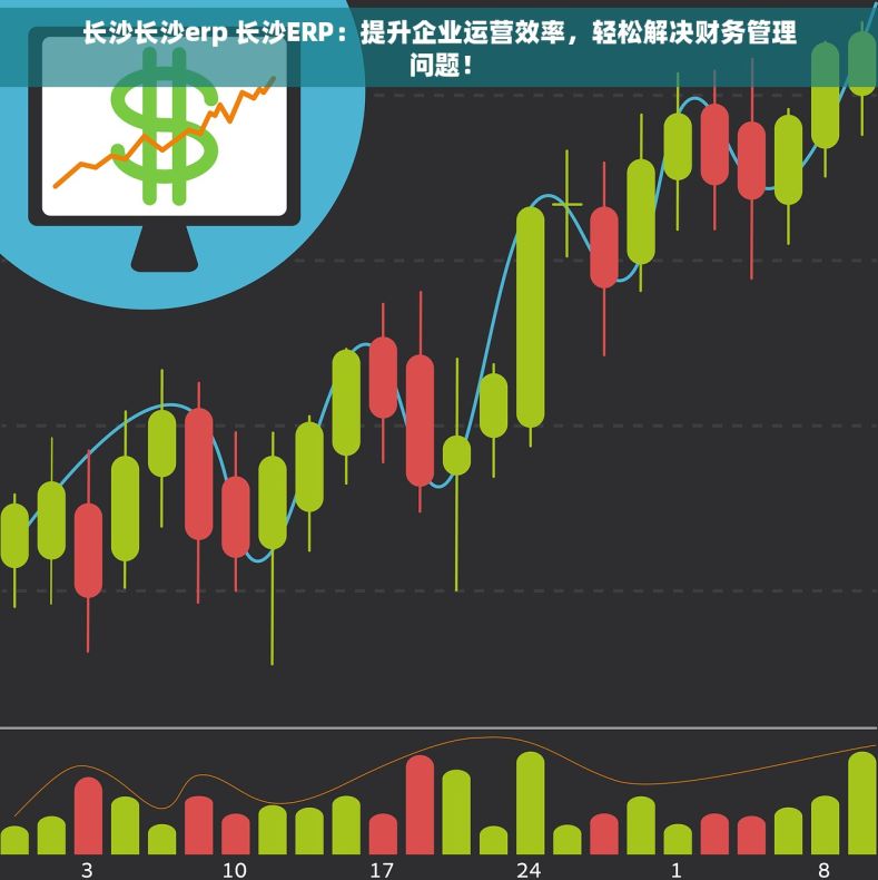 长沙长沙erp 长沙ERP：提升企业运营效率，轻松解决财务管理问题！