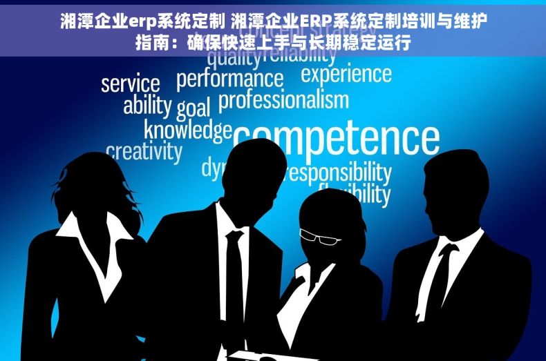 湘潭企业erp系统定制 湘潭企业ERP系统定制培训与维护指南：确保快速上手与长期稳定运行
