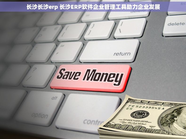 长沙长沙erp 长沙ERP软件企业管理工具助力企业发展