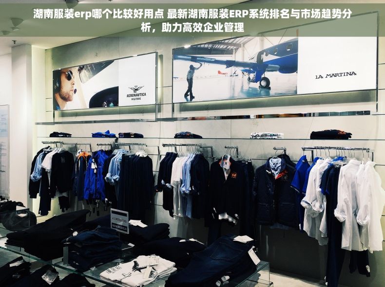 湖南服装erp哪个比较好用点 最新湖南服装ERP系统排名与市场趋势分析，助力高效企业管理