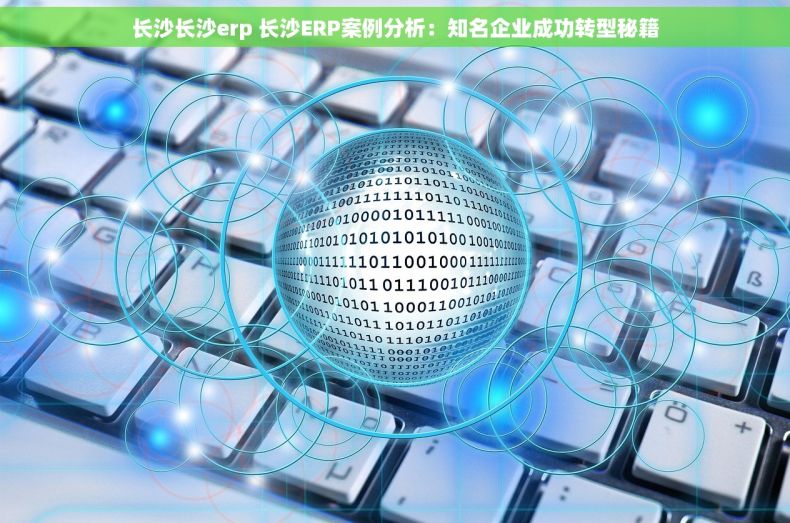 长沙长沙erp 长沙ERP案例分析：知名企业成功转型秘籍