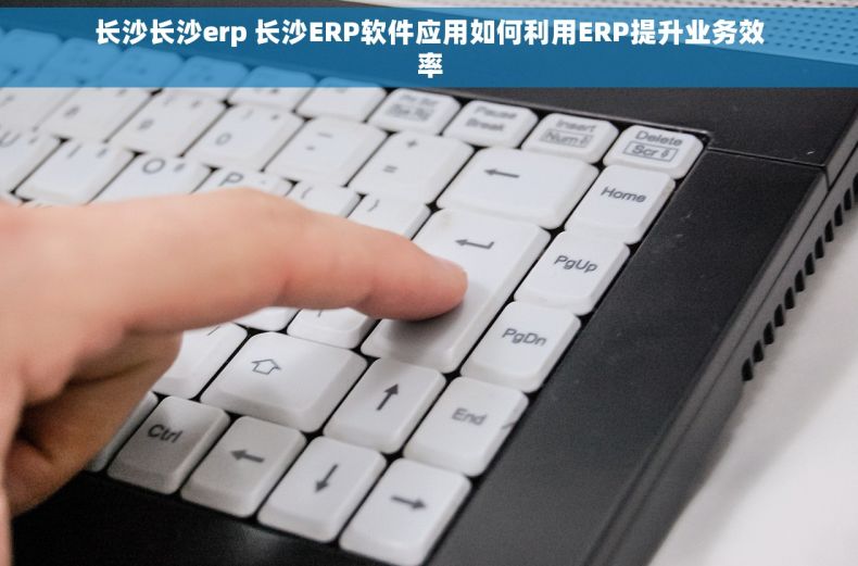 长沙长沙erp 长沙ERP软件应用如何利用ERP提升业务效率