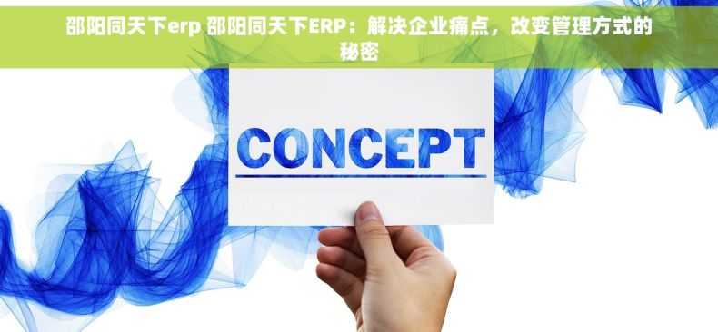 邵阳同天下erp 邵阳同天下ERP：解决企业痛点，改变管理方式的秘密
