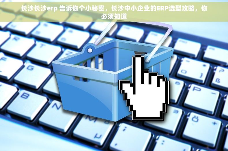 长沙长沙erp 告诉你个小秘密，长沙中小企业的ERP选型攻略，你必须知道