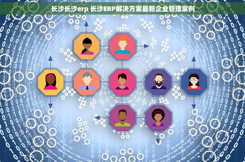 长沙长沙erp 长沙ERP解决方案最新企业管理案例