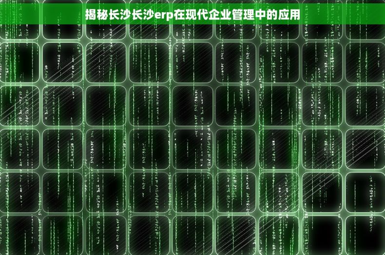 揭秘长沙长沙erp在现代企业管理中的应用