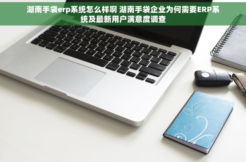 湖南手袋erp系统怎么样啊 湖南手袋企业为何需要ERP系统及最新用户满意度调查