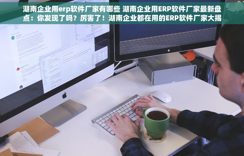 湖南企业用erp软件厂家有哪些 湖南企业用ERP软件厂家最新盘点：你发现了吗？厉害了！湖南企业都在用的ERP软件厂家大揭秘
