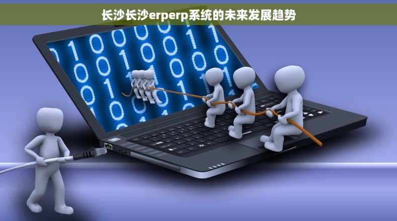 长沙长沙erperp系统的未来发展趋势