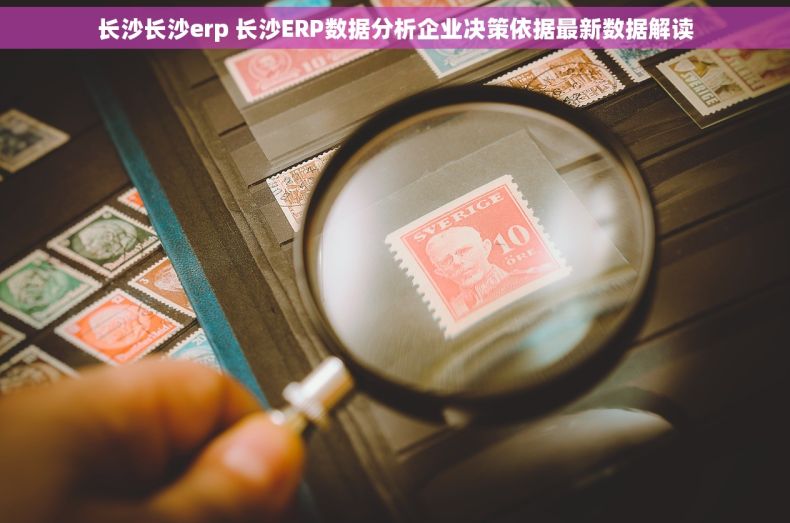 长沙长沙erp 长沙ERP数据分析企业决策依据最新数据解读