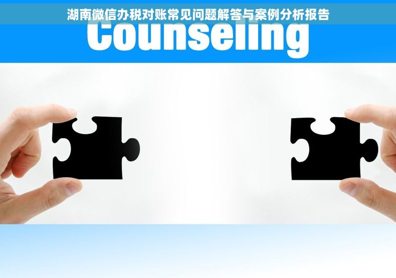 湖南微信办税对账常见问题解答与案例分析报告