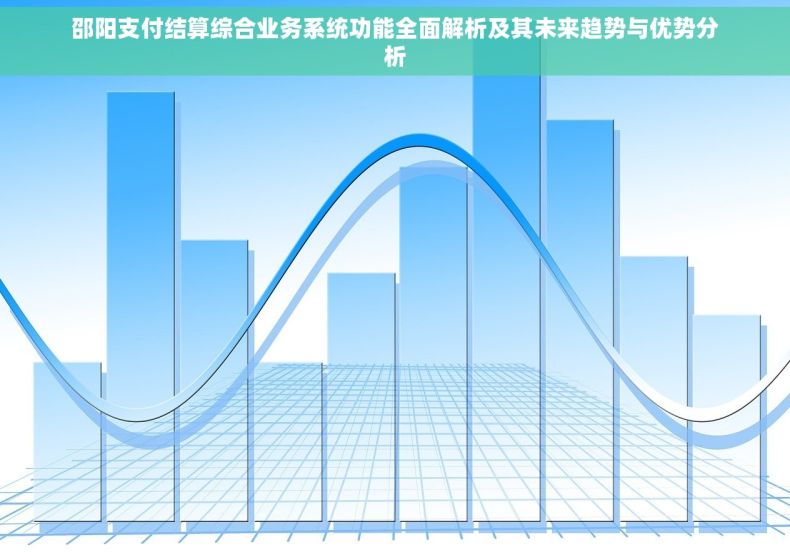 邵阳支付结算综合业务系统功能全面解析及其未来趋势与优势分析