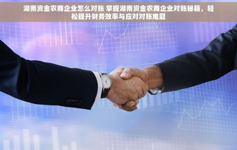 湖南资金农商企业怎么对账 掌握湖南资金农商企业对账秘籍，轻松提升财务效率与应对对账难题