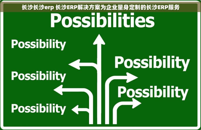 长沙长沙erp 长沙ERP解决方案为企业量身定制的长沙ERP服务