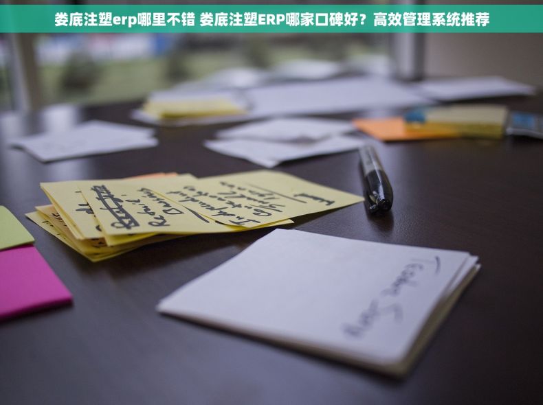 娄底注塑erp哪里不错 娄底注塑ERP哪家口碑好？高效管理系统推荐