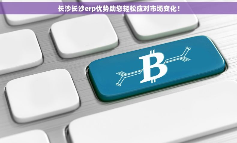 长沙长沙erp优势助您轻松应对市场变化！