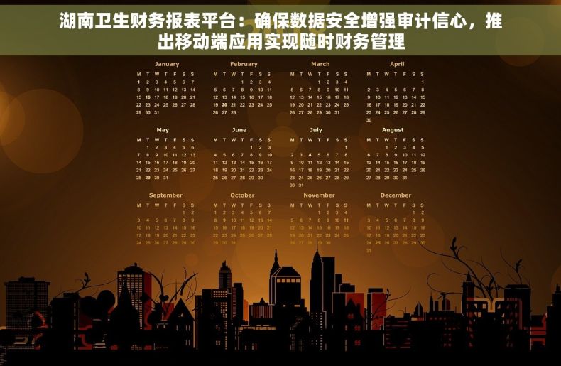 湖南卫生财务报表平台：确保数据安全增强审计信心，推出移动端应用实现随时财务管理