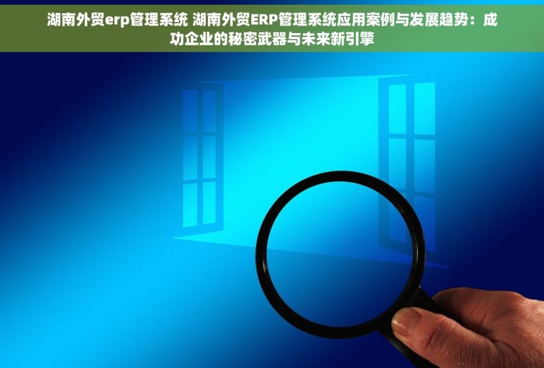 湖南外贸erp管理系统 湖南外贸ERP管理系统应用案例与发展趋势：成功企业的秘密武器与未来新引擎