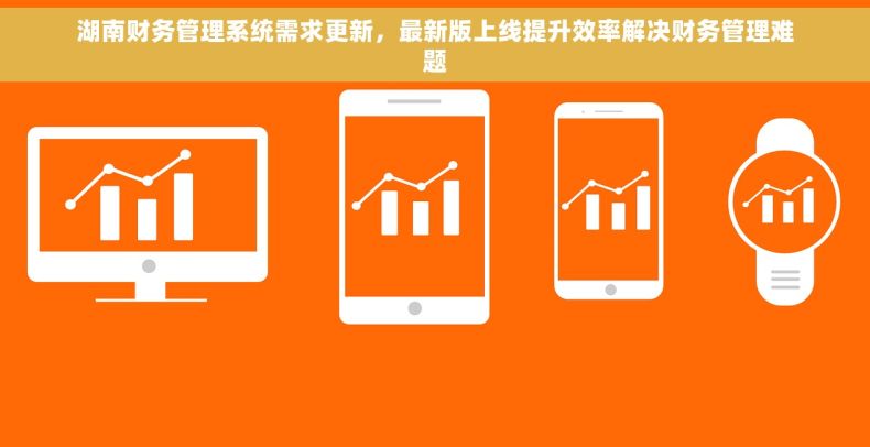 湖南财务管理系统需求更新，最新版上线提升效率解决财务管理难题