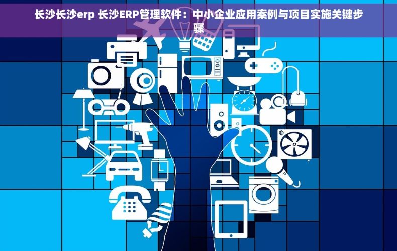长沙长沙erp 长沙ERP管理软件：中小企业应用案例与项目实施关键步骤