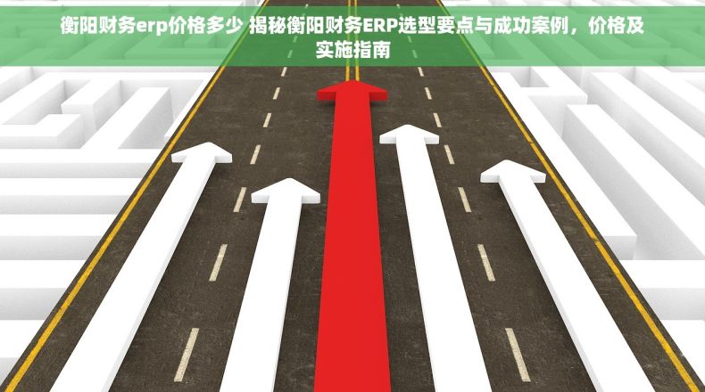 衡阳财务erp价格多少 揭秘衡阳财务ERP选型要点与成功案例，价格及实施指南