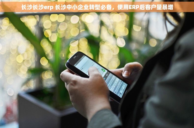 长沙长沙erp 长沙中小企业转型必备，使用ERP后客户量暴增