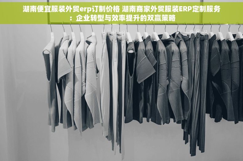 湖南便宜服装外贸erp订制价格 湖南商家外贸服装ERP定制服务：企业转型与效率提升的双赢策略