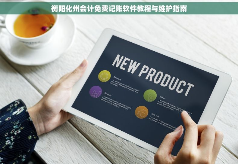 衡阳化州会计免费记账软件教程与维护指南