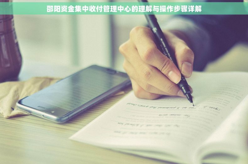 邵阳资金集中收付管理中心的理解与操作步骤详解