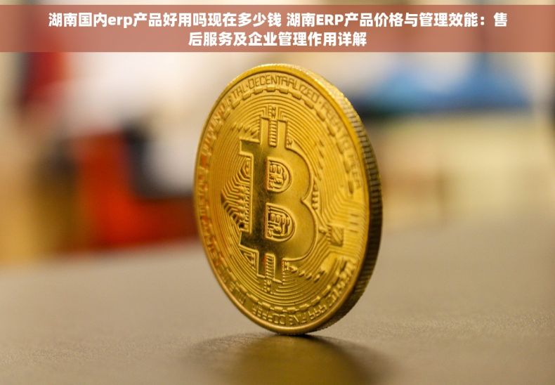 湖南国内erp产品好用吗现在多少钱 湖南ERP产品价格与管理效能：售后服务及企业管理作用详解