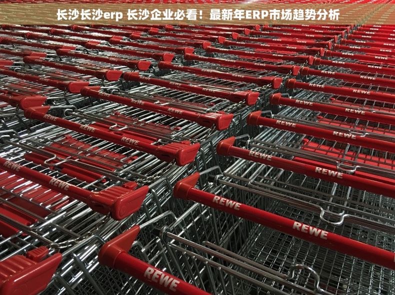 长沙长沙erp 长沙企业必看！最新年ERP市场趋势分析