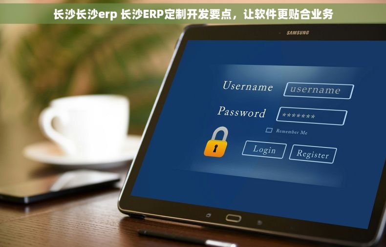长沙长沙erp 长沙ERP定制开发要点，让软件更贴合业务