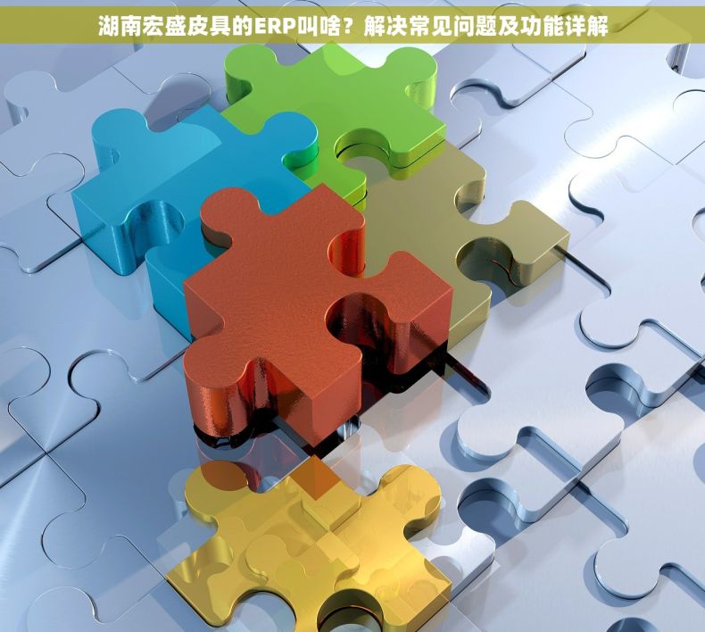 湖南宏盛皮具的ERP叫啥？解决常见问题及功能详解
