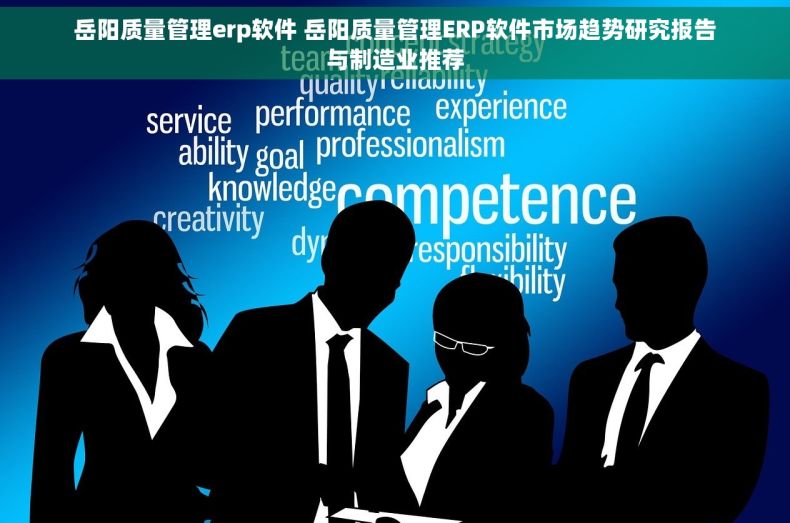 岳阳质量管理erp软件 岳阳质量管理ERP软件市场趋势研究报告与制造业推荐