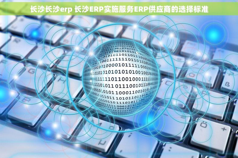 长沙长沙erp 长沙ERP实施服务ERP供应商的选择标准