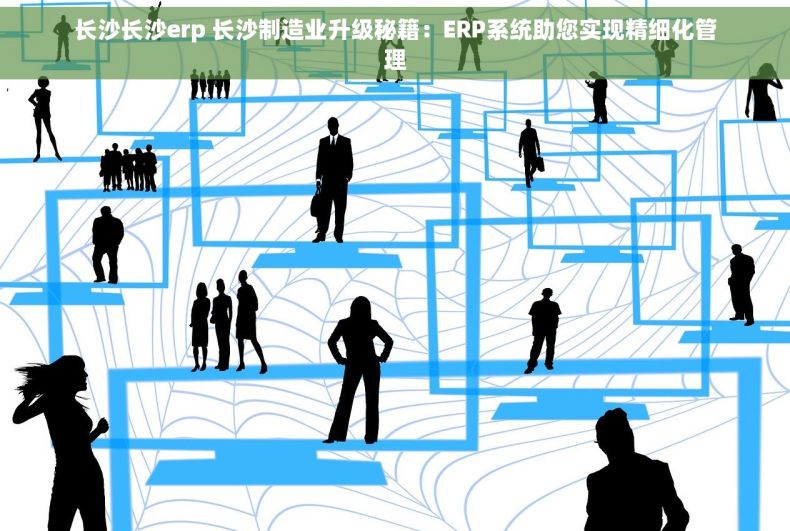 长沙长沙erp 长沙制造业升级秘籍：ERP系统助您实现精细化管理