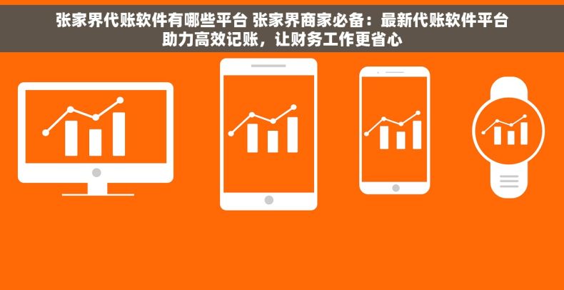 张家界代账软件有哪些平台 张家界商家必备：最新代账软件平台助力高效记账，让财务工作更省心