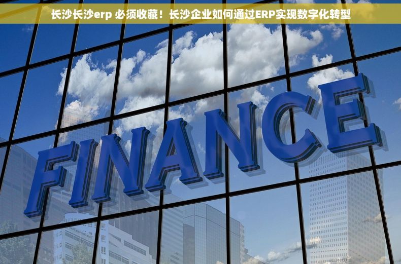 长沙长沙erp 必须收藏！长沙企业如何通过ERP实现数字化转型