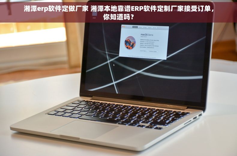 湘潭erp软件定做厂家 湘潭本地靠谱ERP软件定制厂家接受订单，你知道吗？