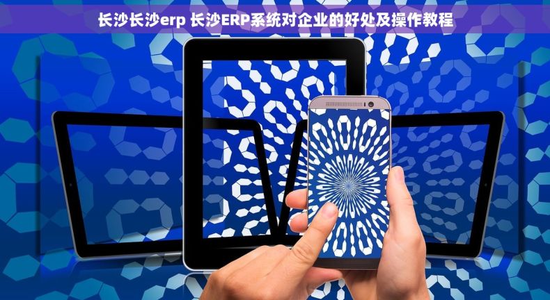 长沙长沙erp 长沙ERP系统对企业的好处及操作教程