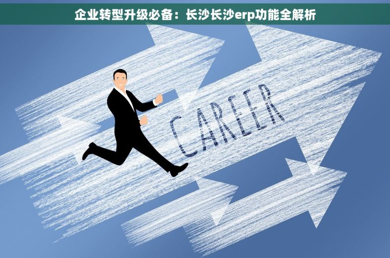 企业转型升级必备：长沙长沙erp功能全解析